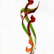 Muhammad Shawky's photo