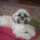 webuser_370267