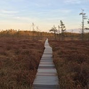 Brian Babineau's photo