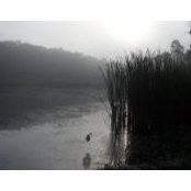Foto von Scott Shoemaker