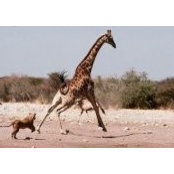 Photo de Miles Stucky