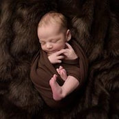 Ginger Boviz's photo