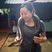 Misa Shikuma's photo