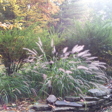 Catskill Mountain Project