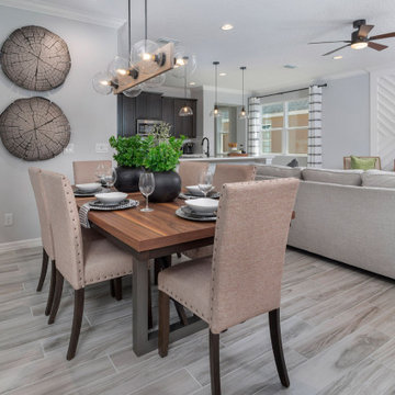 Delano Floor Plan Model Home in Preserve at Sunrise (Groveland, FL)