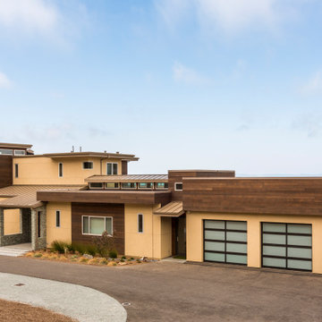 Bayside Gem, Tiburon