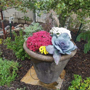 Fall Pots