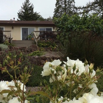 Sebastopol Retreat