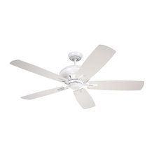 Ceiling Fan for LR