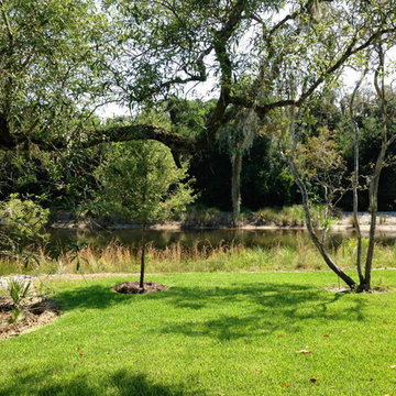 Backyard March Views