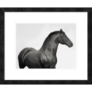 "King Mamba, Stallion" Framed Digital Print by Pangea Images, 24x20"
