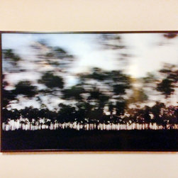 Chris becker - Passing Trees #2, 35" x 52" - Photographs