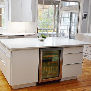 Sleek and European Kitchen Remodel