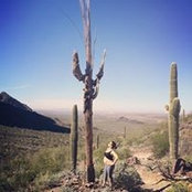 Cindy Silva's photo