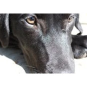Lynn Daluga's photo