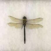 Tiffany Bloom's photo