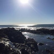 Michelle Blythe's photo