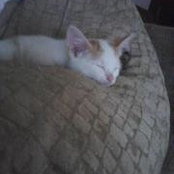 Carolyn Weingarten's photo
