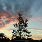 Tee McCooe's photo