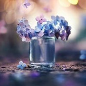 Rand Alia's photo