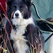 Doug Retief's photo