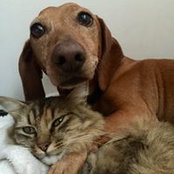 Isa Bel's photo