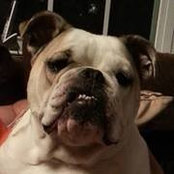 Gina Lauer's photo