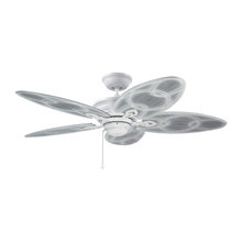 light /fans