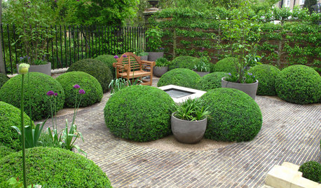 A Beginner’s Guide to Brick Patios
