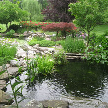 pond