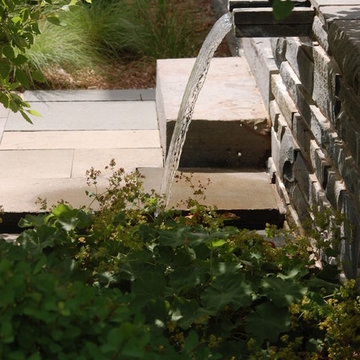 New American Garden