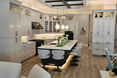 Inspiration for a transitional kitchen remodel in Miami