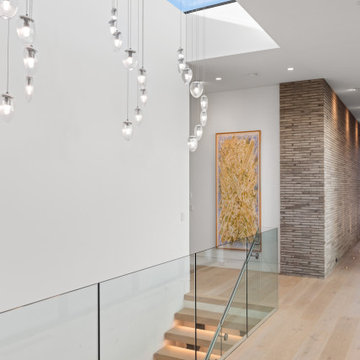Dophin Terrace