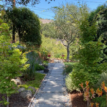 landscape ideas