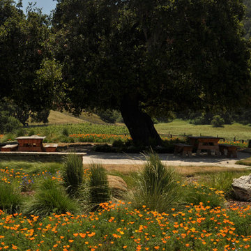 Ranch Picnic Entertainment Area