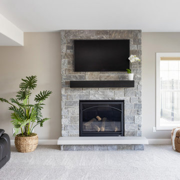 Basement Living Room