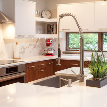 Contemporary Renovation