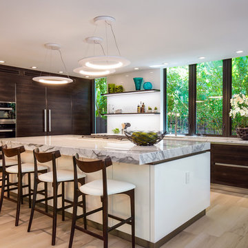 Modern Kitchen Windows