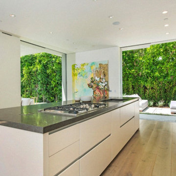 Modern Kitchen with Indoor Outdoor Flow