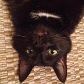 Joel Armor's photo