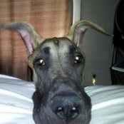 Craig Hadley's photo