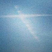 Estrella Harrington's photo