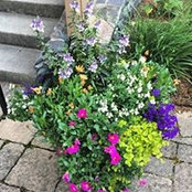 Janet Geary's photo