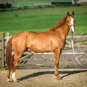 Winifred Tracey's photo