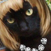 CoCo Feline's photo