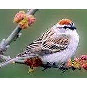 Cindy Beynon's photo