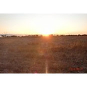 Diane Manns's photo