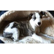 Brigitte Deschenes's photo