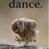 Lee Heaton's photo