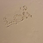 Lori Brandt's photo